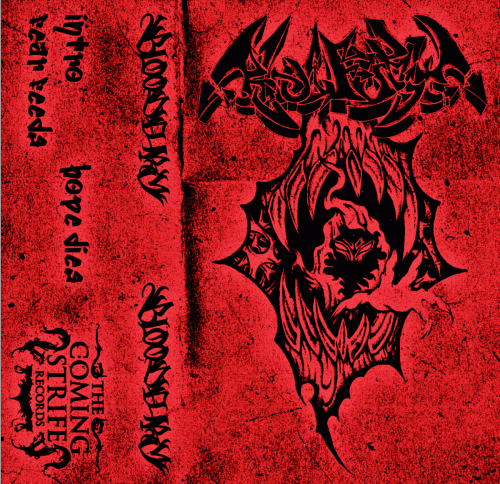 Bloodfury : The Demo